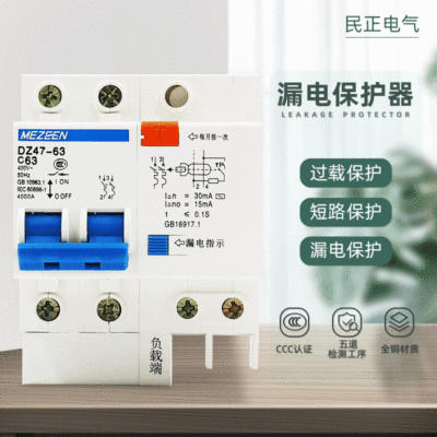 國標質量全銅大孔dz47le漏電斷路器 2p63a漏電保護器家用漏保開關